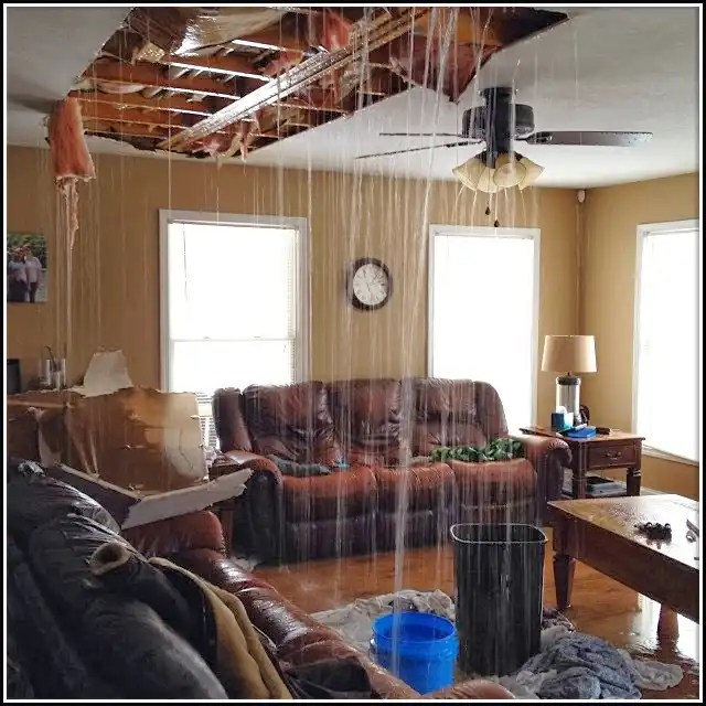 Water Damage Restoration services in Seymour, TN