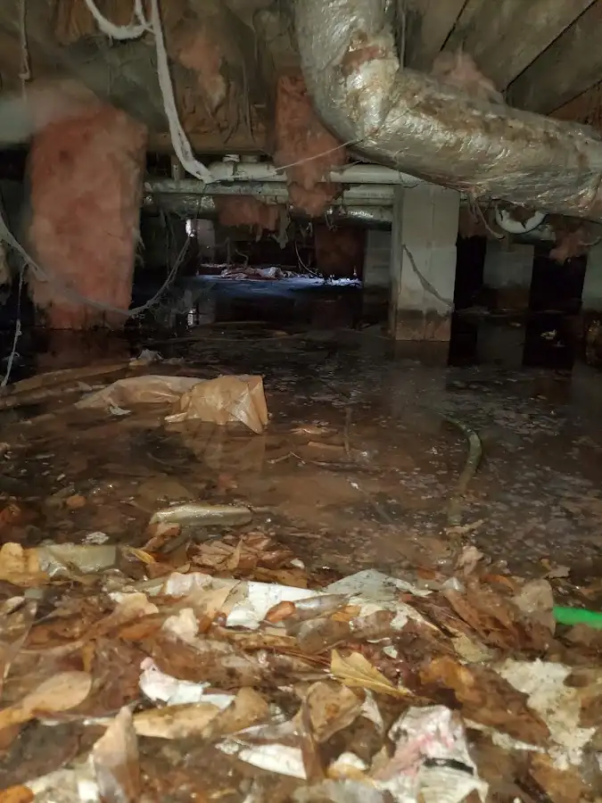 Crawl space flood assessment for Commercial Water Damage Restoration in Seymour